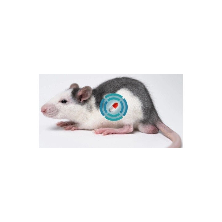 BIO-PILL Capsule Monitoring de température corporelle par capsule