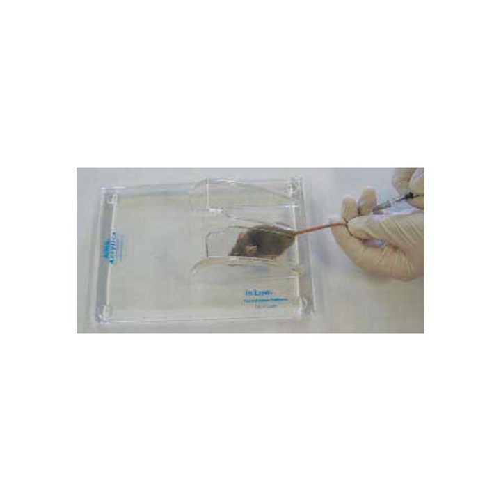 Tail Vein Injection Platform