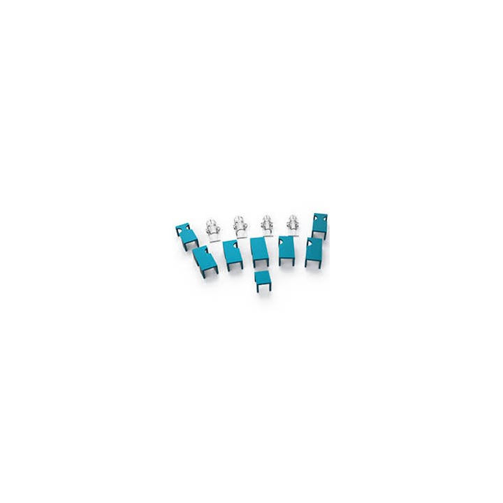 Contention pour irradiation corporelle partielle souris -25g