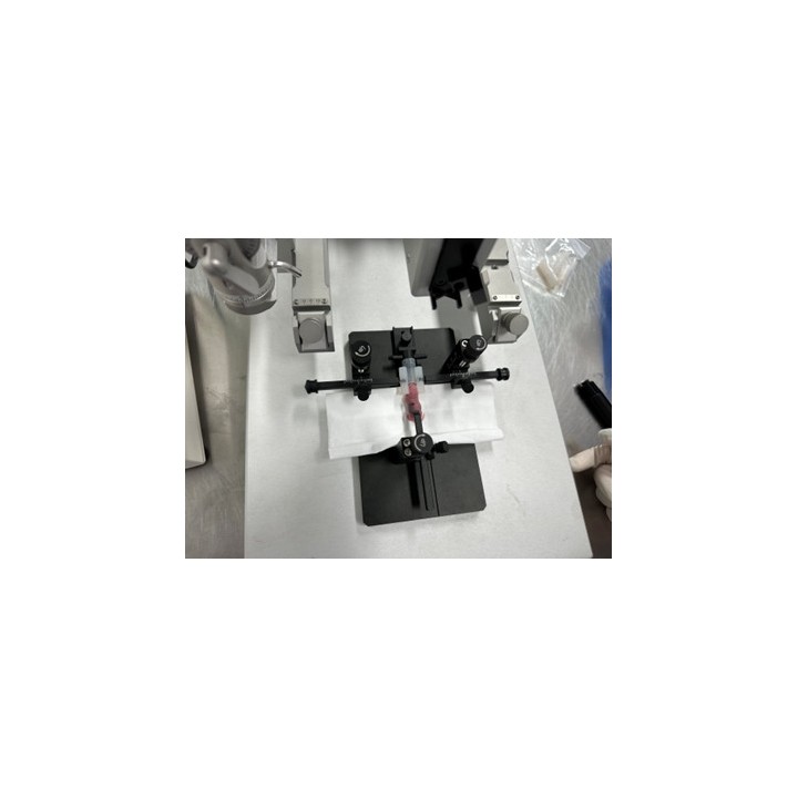 Adaptateur pour anesthésie sur souris néonatales