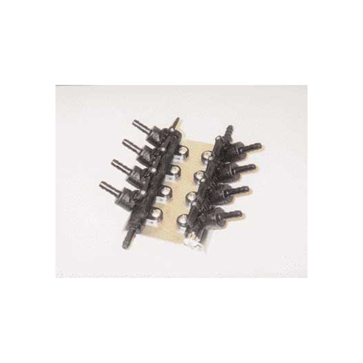 Manifold
