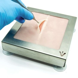 rat skin training suture