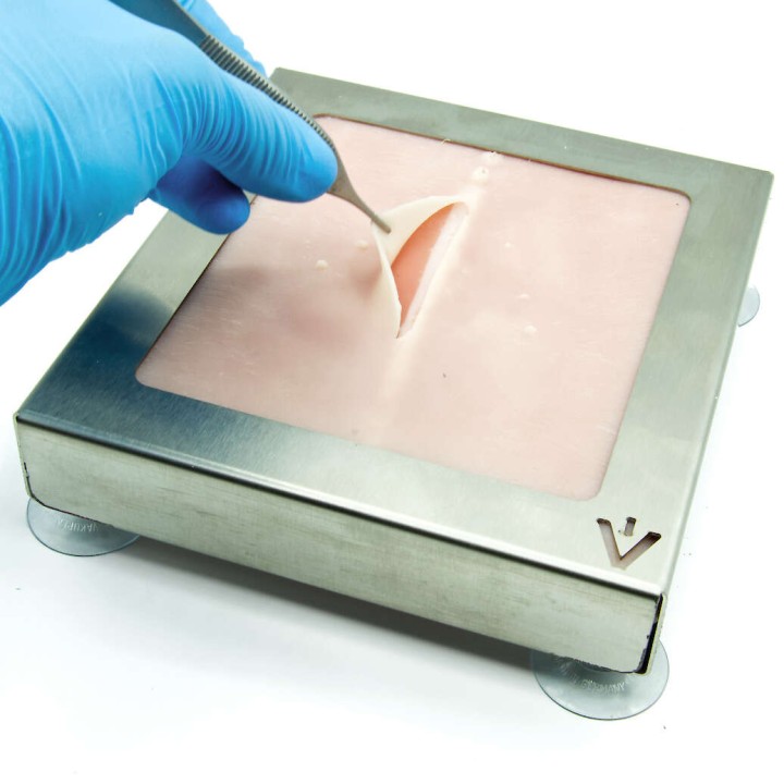Peau de suture d'entrainement de rat avec support