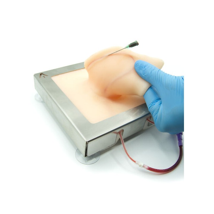 Pig auricular vein training simulator
