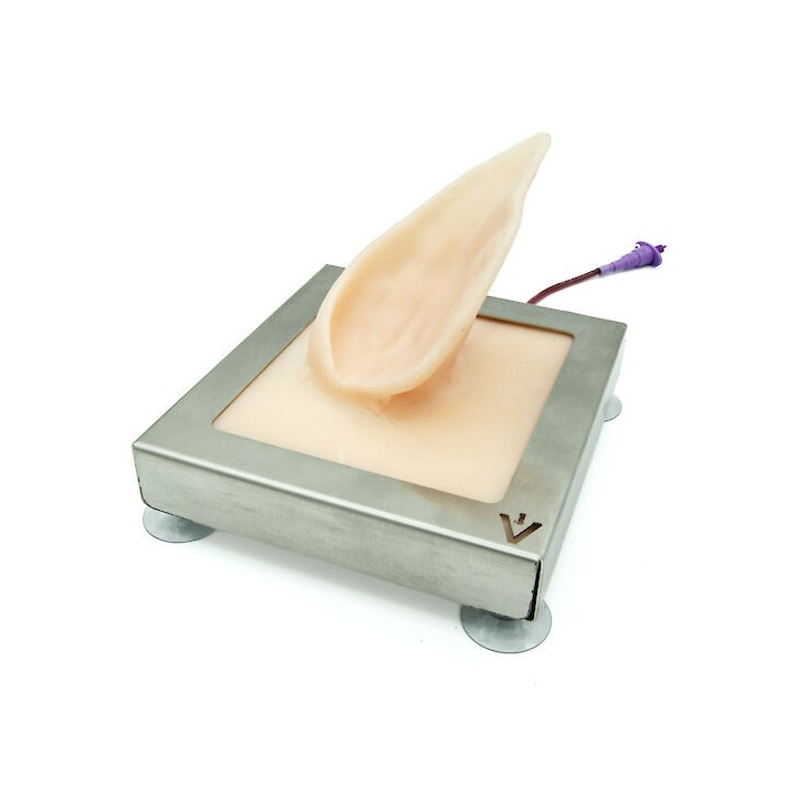 Pig auricular vein training simulator