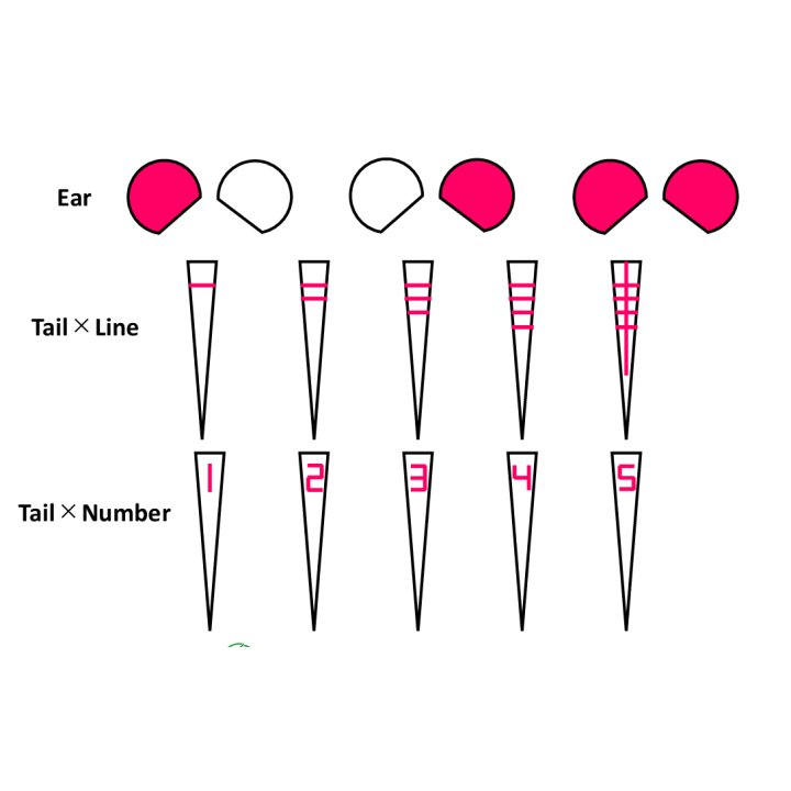 Skin marker for rodents