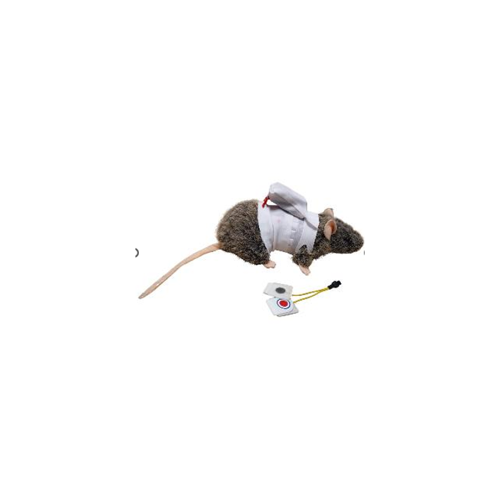 DECRO pour Rat electrode