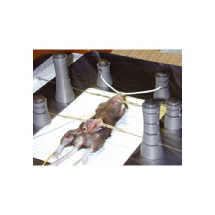 Système de chirurgie pour petit animal