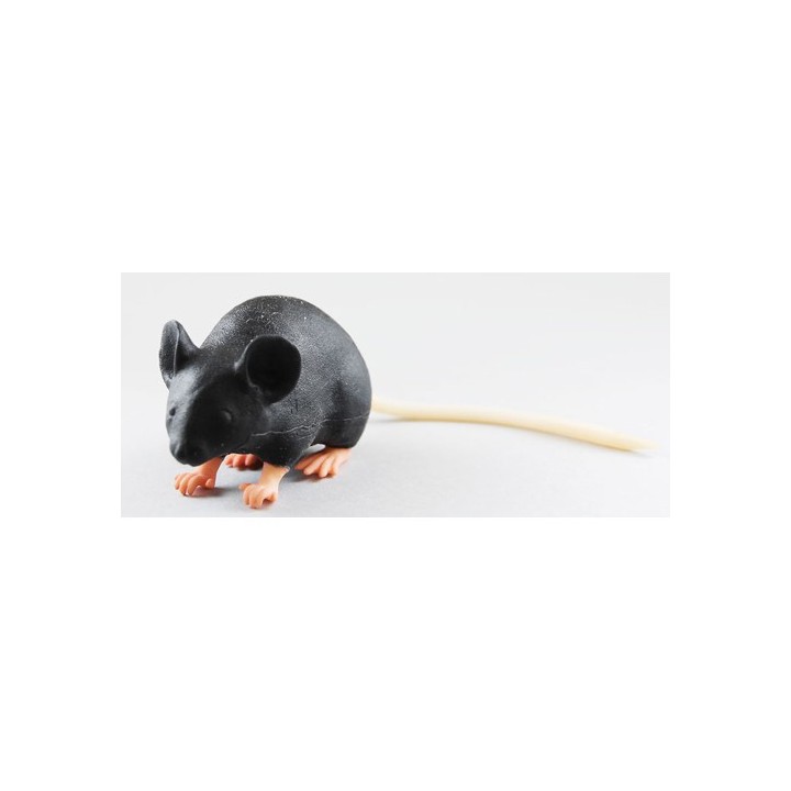 Modèle d'imitation de souris