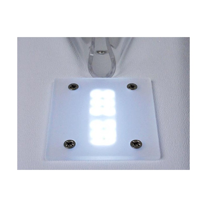 Illuminateur de queue pour rat