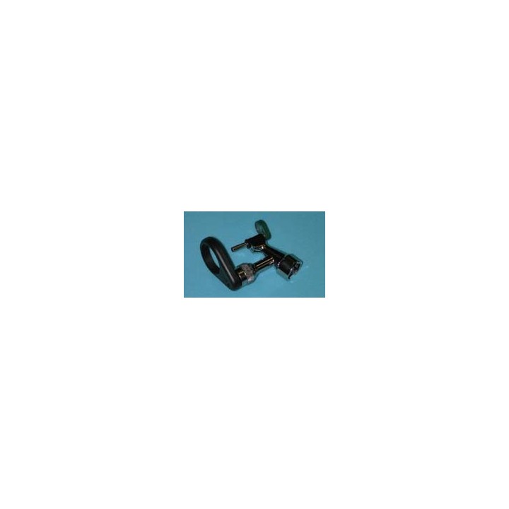 Otoscope for rodent