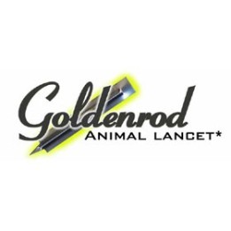 goldenrod lancet