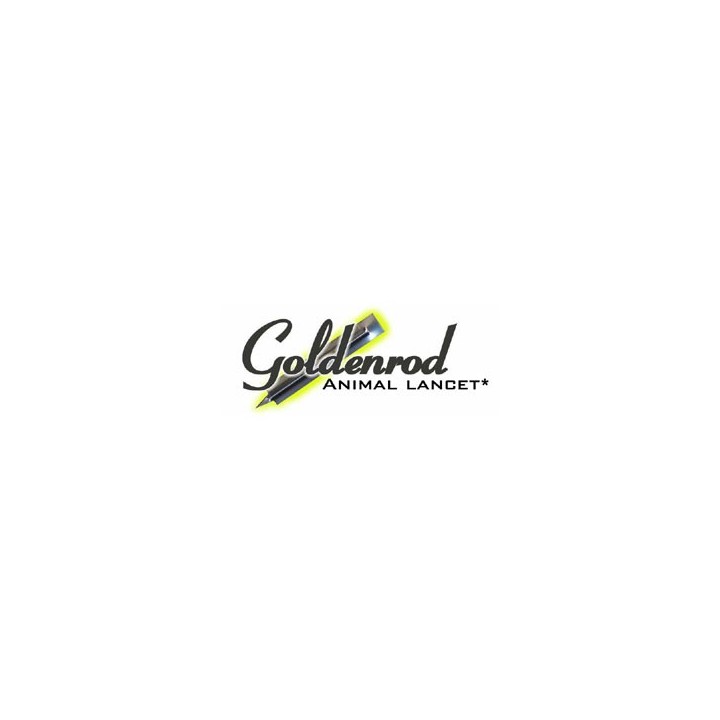 goldenrod lancet