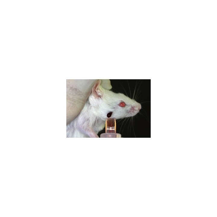 Lancette pour animaux GoldenRod
